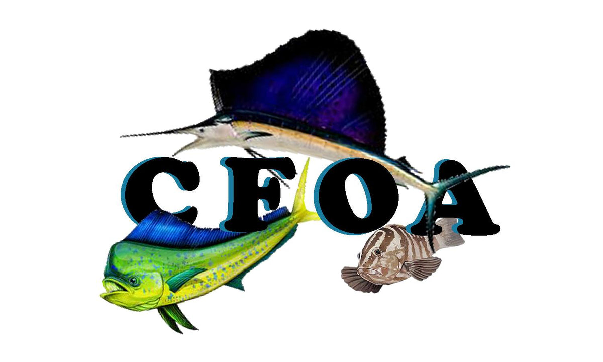 With these changes to CFOA has still managed to keep the focus of the founding members to be dedicated to creating new friendships by fishing together, promoting conversation, planning fishing trips, and passing on angling knowledge.  PeeWee and Senior's angling division in 2002.
