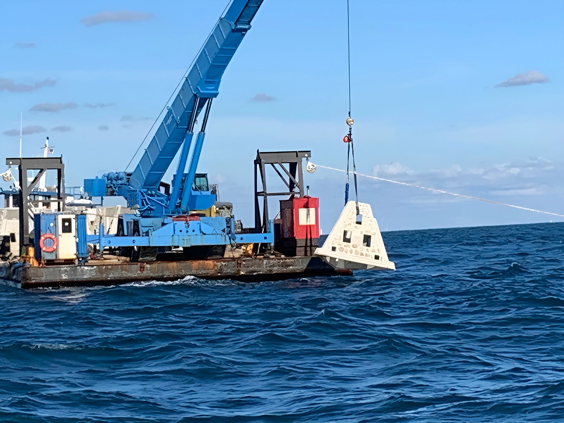 Marine life around an artificial reef off Florida's Space Coast